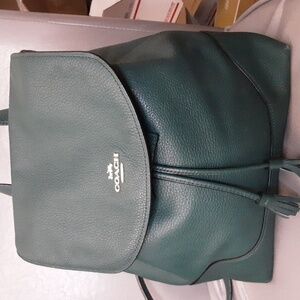 Coach Green Leather Drawstring Backpack